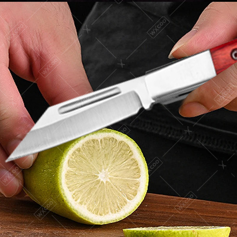 Stainless Steel Pocket Knife R - Kitchen Gadgets You Need 评论和价格
